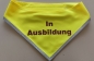 Hundehalstuch, Halstuch mit Namen, Hundhalstuch bestickt, Hundehalstuch bedruckt,